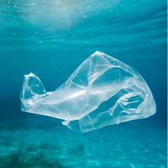 <p><strong>Plastic</strong> <strong>Free</strong><br>Protecting the Mediterranean</p>
